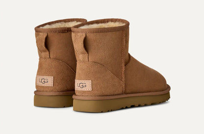 Botte Classic Mini II Chestnut