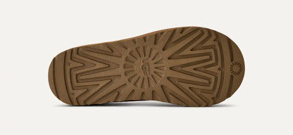Tasman II Chestnut